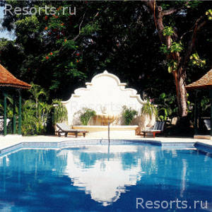 Coral Reef Club 3